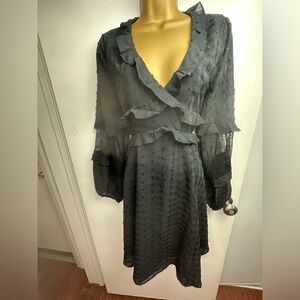 Trish Scully Black Shimmer SwissDot Ruffle Balloon Lace Panel Sleeve Dress NWT 6